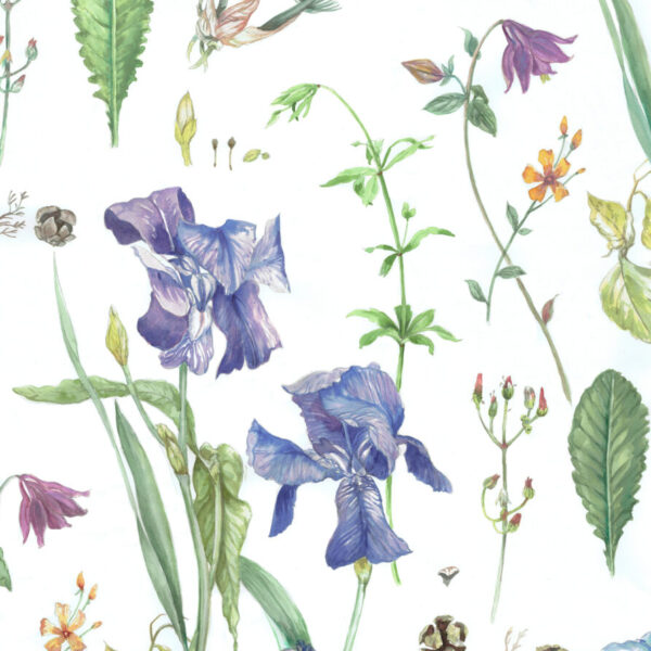 Classic Flowers CMR – ND 9048