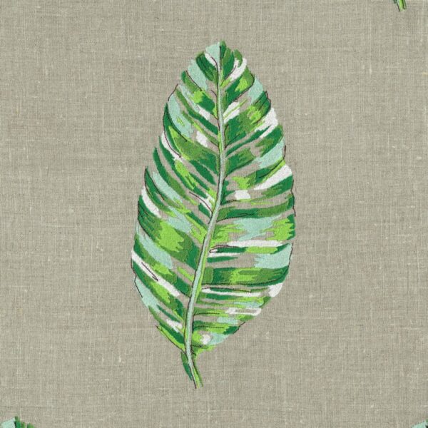 Plants CMR – OR 09817