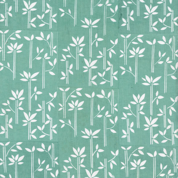 Plants CMR – LF 6054