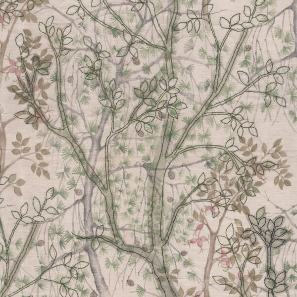 Plants CMR – CL 6270