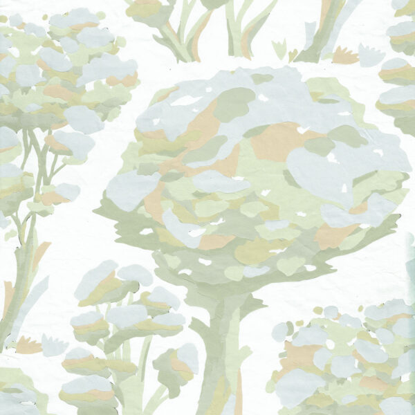 Plants CMR - OR 6277