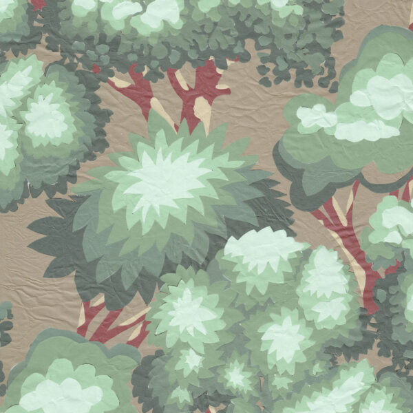 Plants CMR - OR 6278
